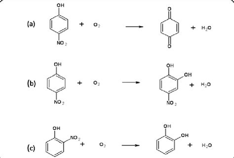 monooxygenase|monooxygenase definition.